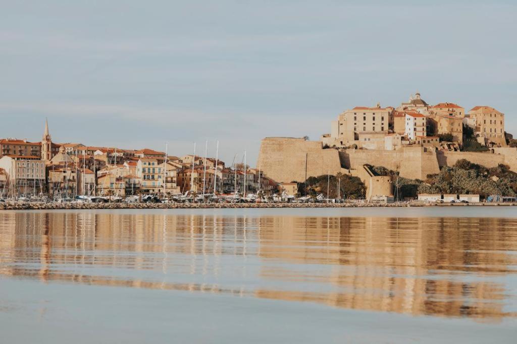 Calvi. T2 2/4 Personnes A 100 Metres De La Plage Daire Calvi  Dış mekan fotoğraf